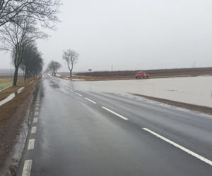 Zdarzenie drogowe na DK 19 w Świniarowie pod Łosicami