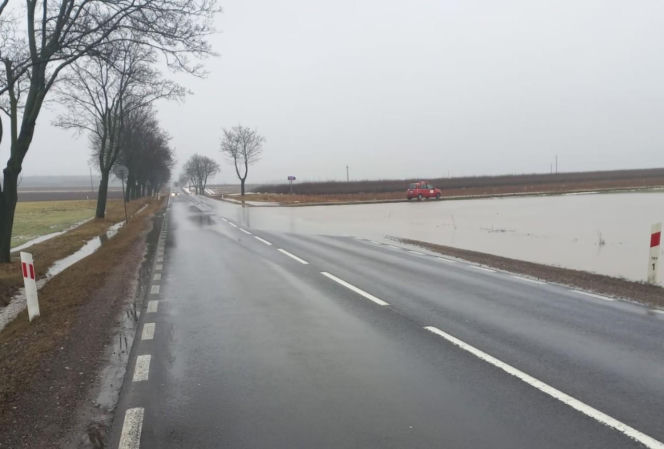 Zdarzenie drogowe na DK 19 w Świniarowie pod Łosicami