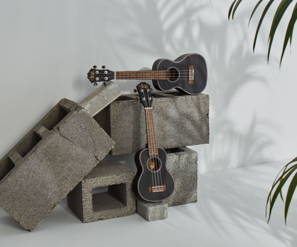 Jaki jest najlepszy instrument na lato? My już wiemy! Nauka gry jest bajecznie prosta! 