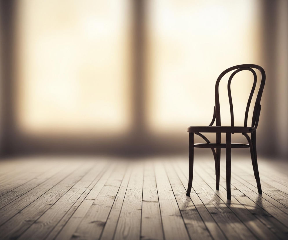 Ciemne, drewniane krzesło stoi na środku obrazu, zwrócone tyłem do widza, na jasnej, drewnianej podłodze ułożonej z długich desek. Krzesło jest smukłe, z dwoma zakrzywionymi pałąkami tworzącymi oparcie i czterema cienkimi nogami. Z tyłu widać mocne, jasne światło, które rozjaśnia tło i tworzy efektowny kontrast z ciemnym krzesłem.
