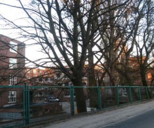 Janosika