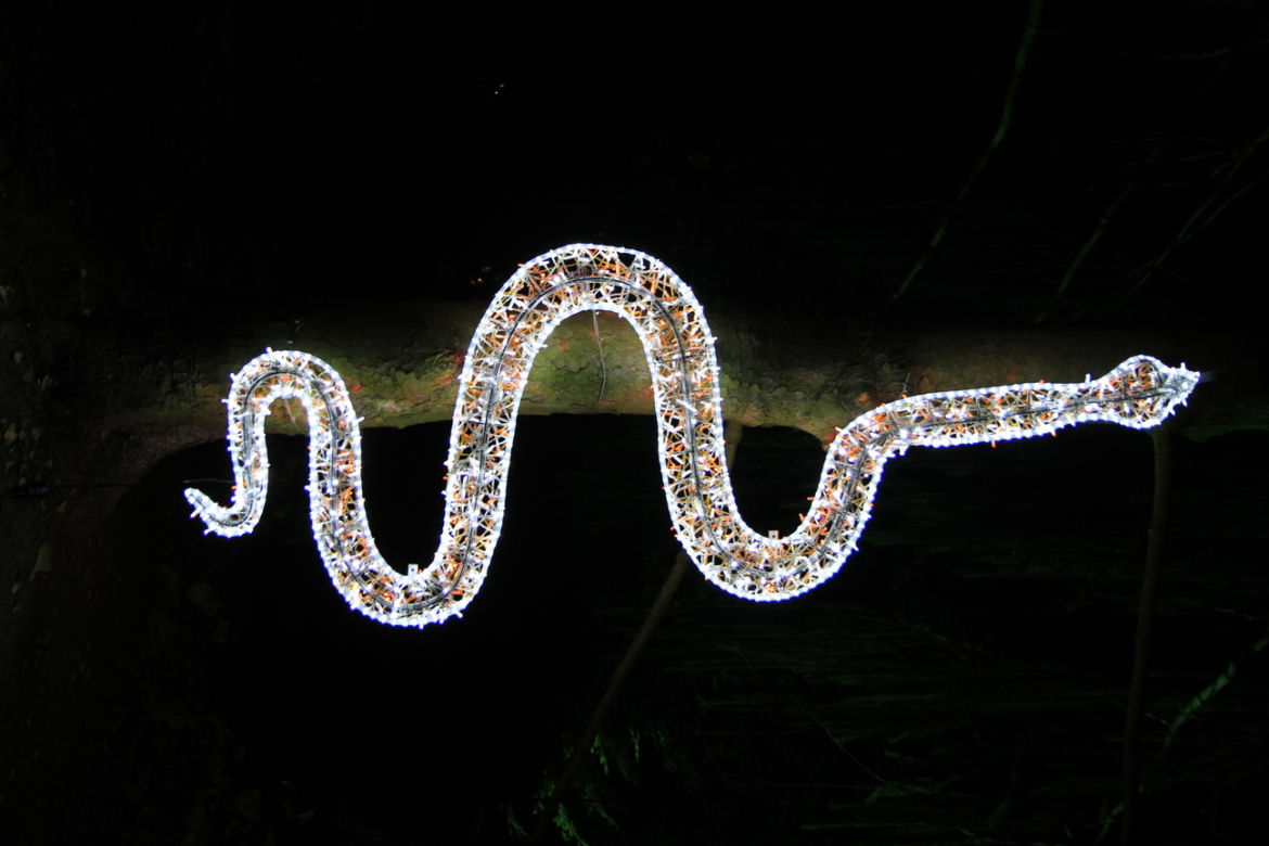 Park iluminacji „Tajemniczy Ogród” w Lublinie