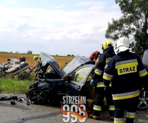 Wypadek na trasie między Strzelinem a Wrocławiem