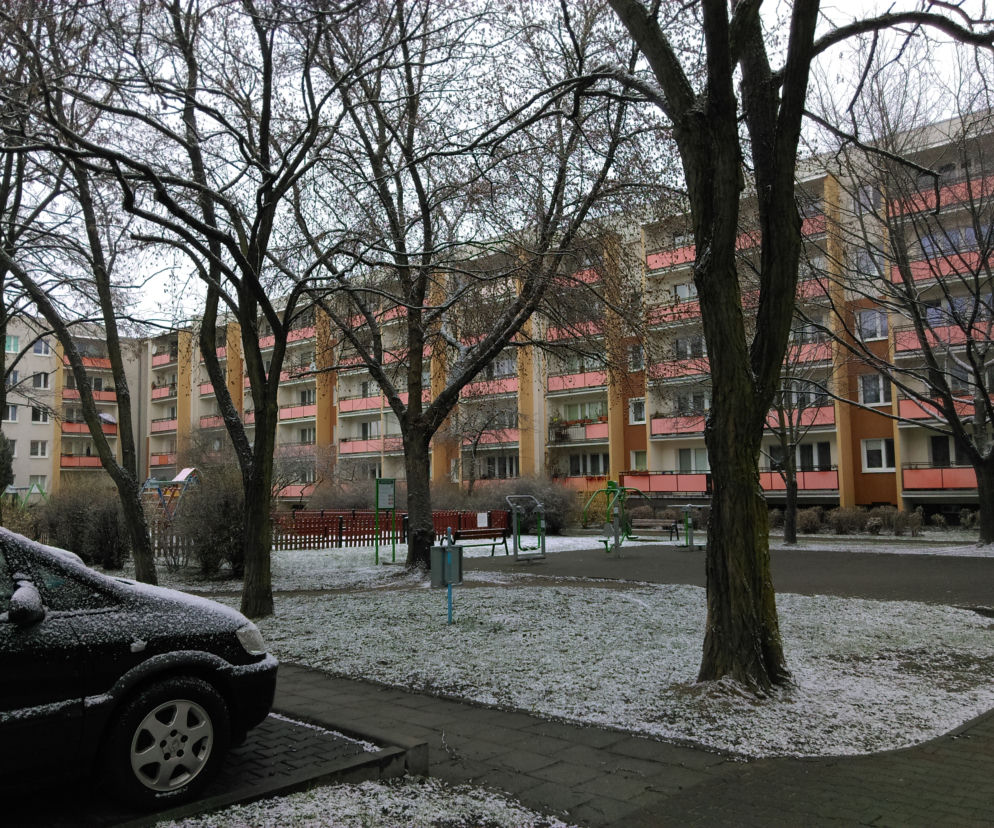 Atak zimy w Poznaniu! Taka pogoda w kwietniu to rzadkość 
