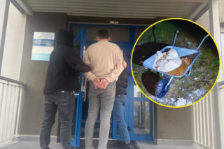 Kilkadziesiąt kilogramów amfetaminy na podwórku. Narkotyki wozili taczką!