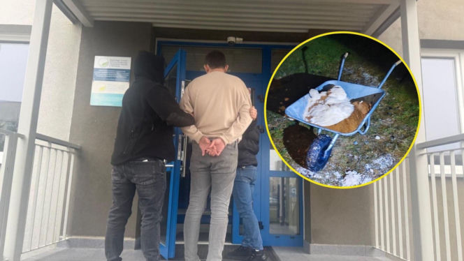 Kilkadziesiąt kilogramów amfetaminy na podwórku. Narkotyki wozili taczką!