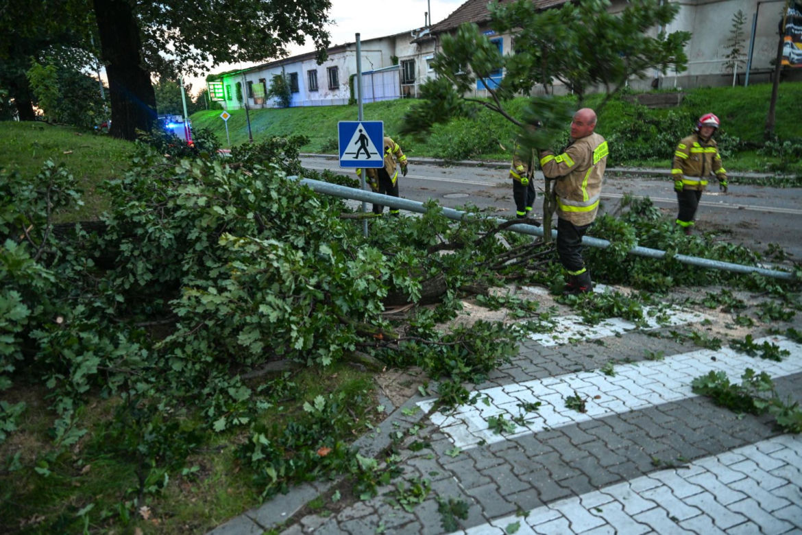 Ulewne deszcze na Podkarpaciu. Połamane drzewa na ulicach Dębicy