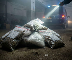 Akcja policji w Bydgoszczy. W garażu narkotyki za 16 milionów złotych!
