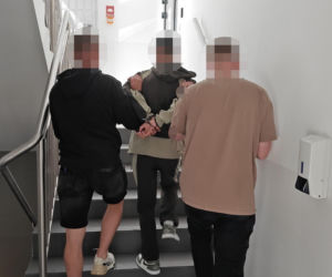 Zakazy, alkohol, poszukiwani. Kto tak naprawdę wozi nas po Warszawie?