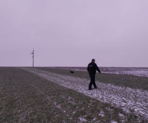 Akcja służb pod Piotrkowem Trybunalskim. Uratowano potężnego orła!