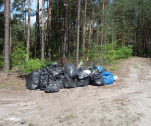 Śmieci do olsztyńskich lasów trafiły spod Legionowa! Sprawcy zostlai ukarani!