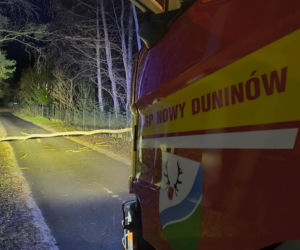 Interwencje Strażaków przy likwidacji szkód spowodowanych przez gwałtowny wiatr i burze