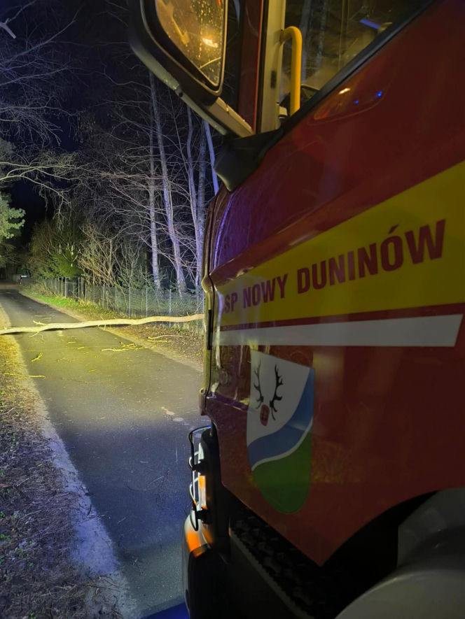 Interwencje Strażaków przy likwidacji szkód spowodowanych przez gwałtowny wiatr i burze