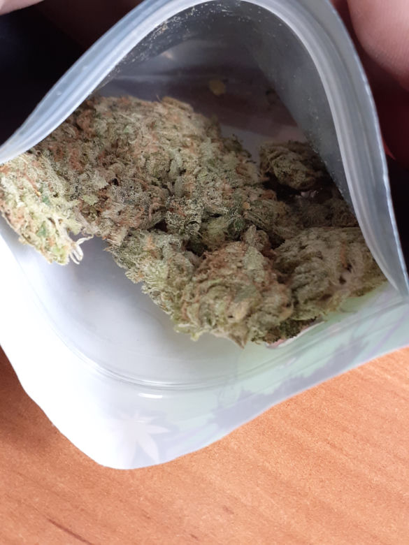 Lili powąchała paczkę z Wielkiej Brytanii. Nie myliła się!