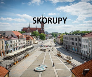 19. Skorupy