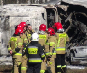 Mała osobówka stanęła w ogniu. Spłonął kierowca
