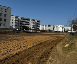 Chcieli park, dostaną betonowe bloki. Chodzi o miejskie pole