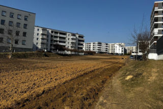 Chcieli park, dostaną betonowe bloki. Chodzi o miejskie pole