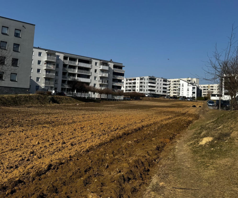 Słynne pole w Lublinie sprzedane deweloperowi. Chcieli parku, będą bloki