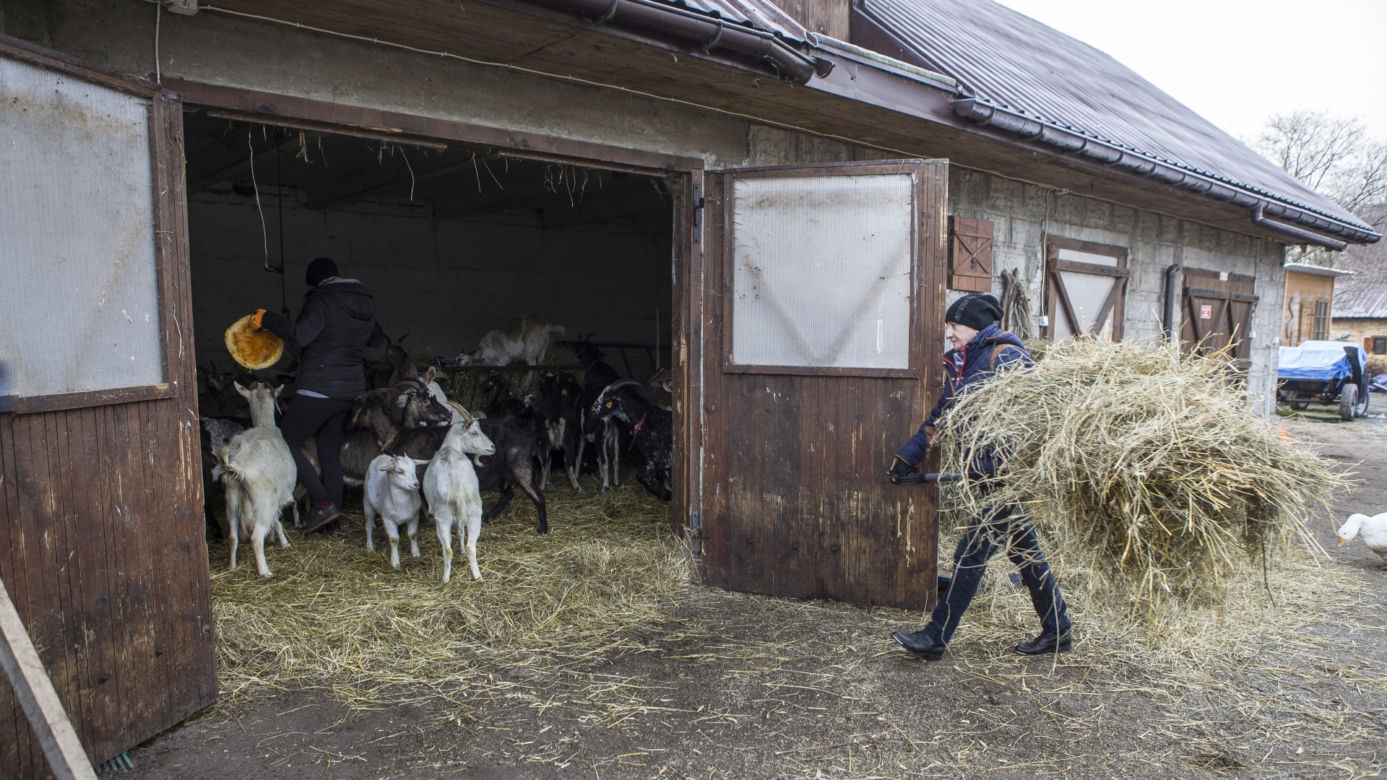 Zobacz, jak mieszkają bohaterowie serialu Rolnicy. Podlasie