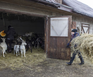 Zobacz, jak mieszkają bohaterowie serialu Rolnicy. Podlasie