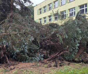 Krajobraz jak po apokalipsie. Wichura zniszczyła gminę Mysłakowice w kilkanaście minut