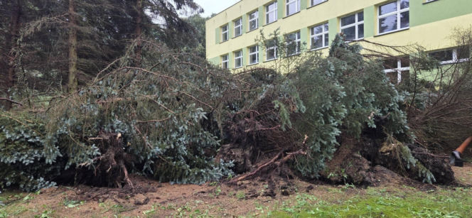 Krajobraz jak po apokalipsie. Wichura zniszczyła gminę Mysłakowice w kilkanaście minut