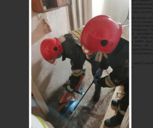 Podkarpacie: Tak imprezowali, że koń wpadł do piwnicy