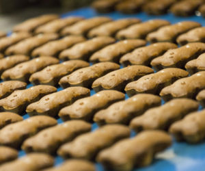 Mondelez w Płońsku