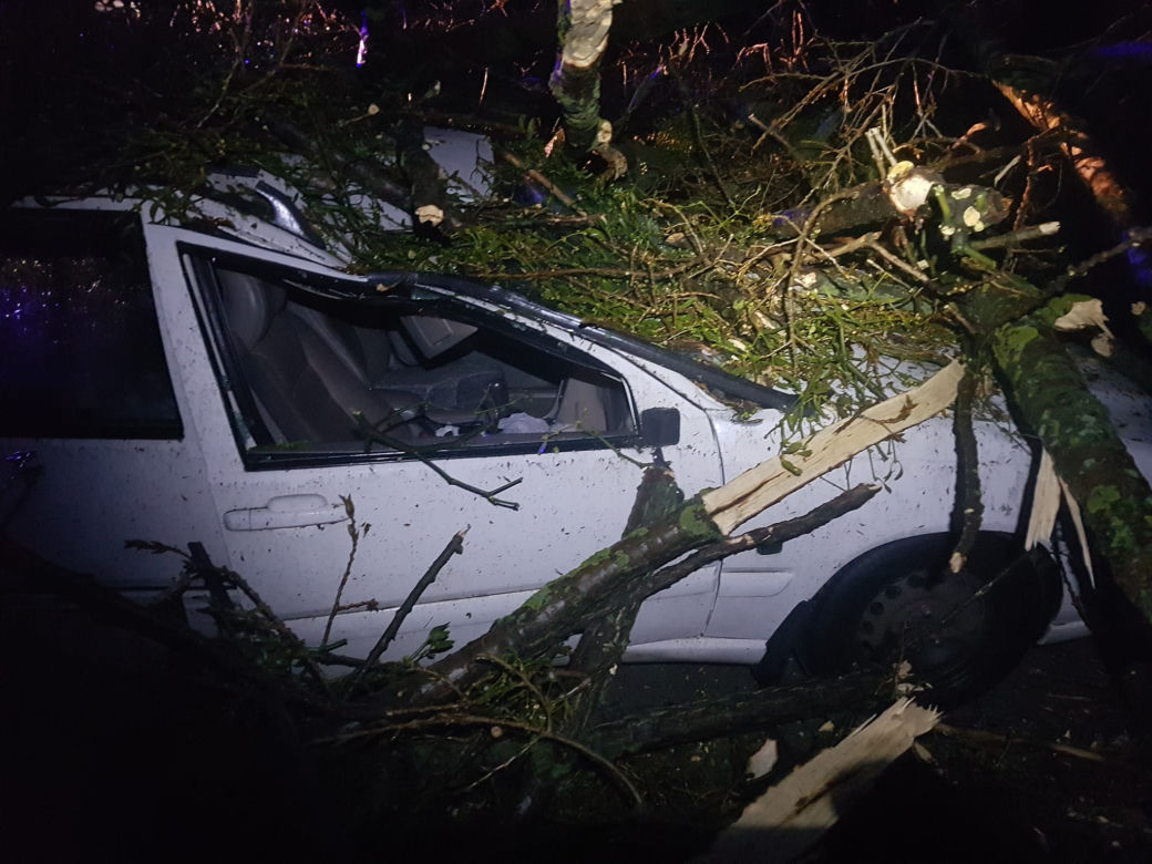 Wichura na Dolnym Śląsku. Uszkodzone dachy, powalone drzewa. Ponad 300 interwencji straży