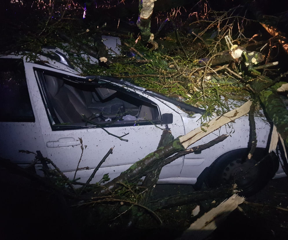 Wichura na Dolnym Śląsku. Uszkodzone dachy, powalone drzewa. Ponad 300 interwencji straży