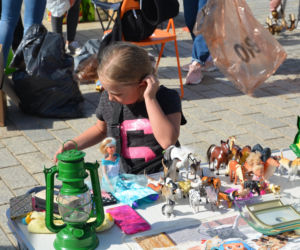 Pchli Targ Starachowice