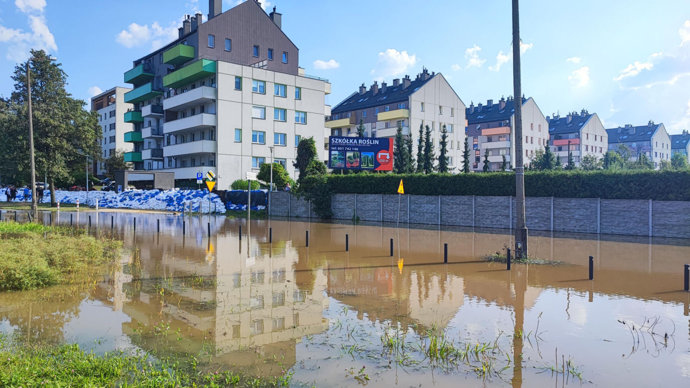 Stabłowice. Tak ratowali gołębie z działek