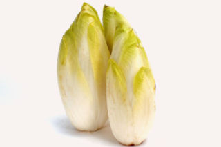 Cykoria