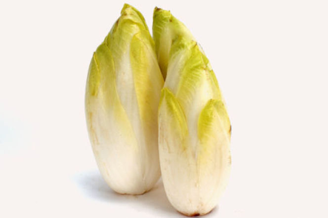 Cykoria