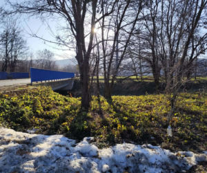 Atak nożownika. Rodzina zastrzelonego Łukasza W. w szoku