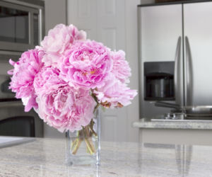 Peonie w szklanym wazonie