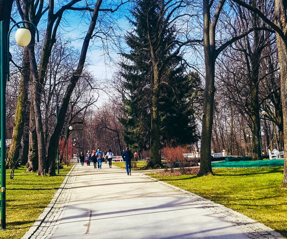 Pierwsze kroki wiosny w Lublinie [ZDJĘCIE DNIA]