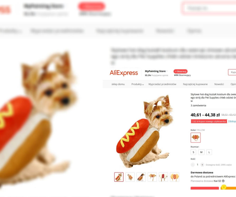 Na AliExpress można znaleźć gadżety dla zwierząt, które niekoniecznie dodają im urody