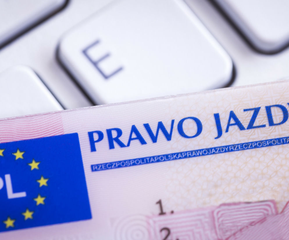 prawo jazdy