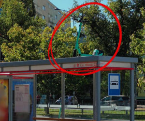 Hulajnoga porzucona na dachu przystanku. Warszawa wprowadza nowe zasady dla użytkowników jednośladów 