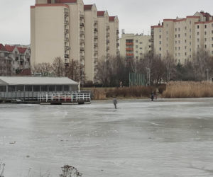 Skrajna nieodpowiedzialność w parku nad Balatonem