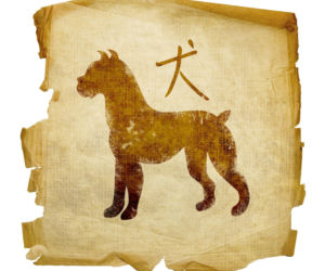 Nowy rok chiński - horoskop od znanej wróżki