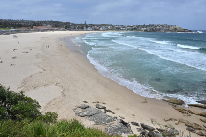 Plaża Bondi Beach w Sydney - miejsce zamachu