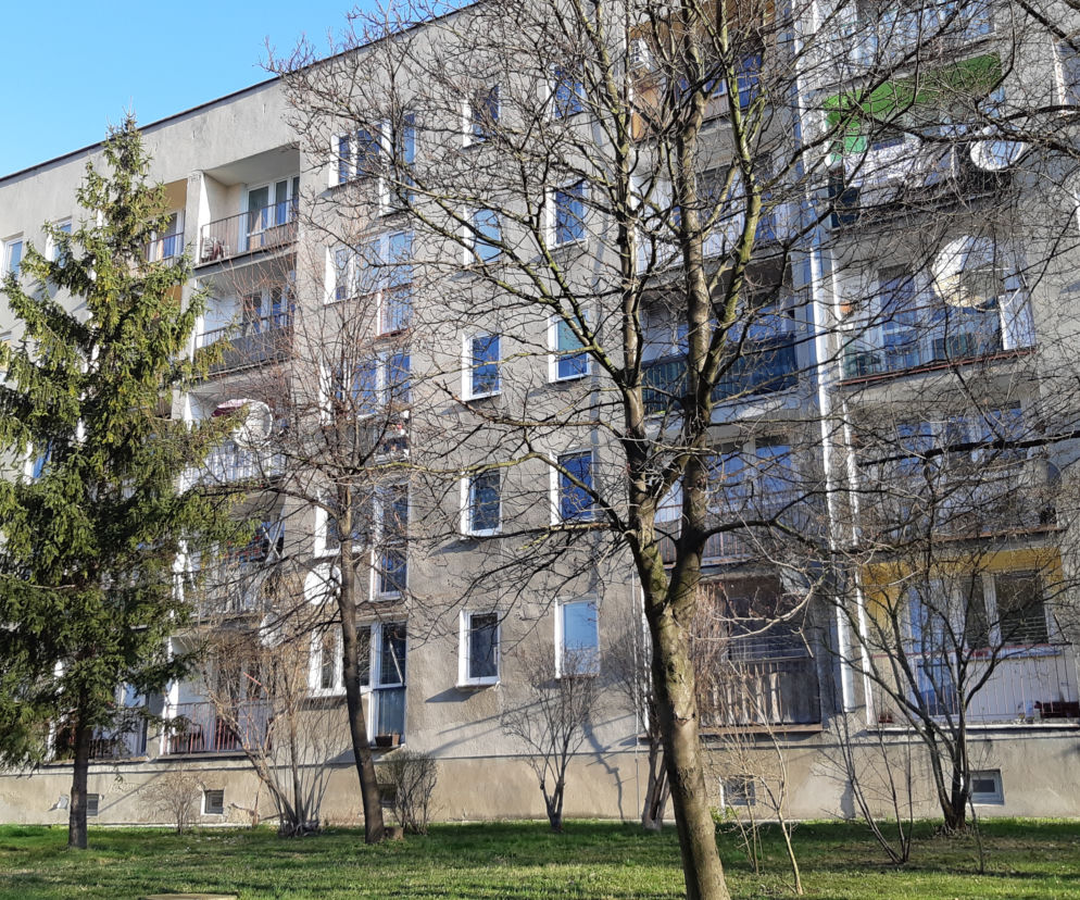 Spis Powszechny w Tarnowie
