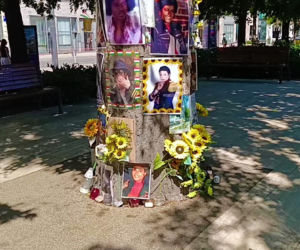 Drzewo pamięci Michaela Jacksona w Budapeszcie