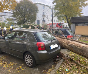 Wichury w Toruniu. Żywioł wywracał drzewa i nie tylko