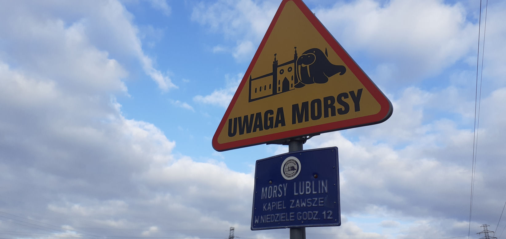 Im kąpiele w zimnej wodzie nie są straszne. Lubelskie morsy rozpoczęły już sezon [GALERIA]
