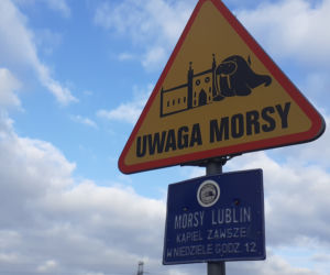 Im kąpiele w zimnej wodzie nie są straszne. Lubelskie morsy rozpoczęły już sezon [GALERIA]