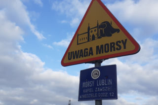 Morsy z Opola zaczynają zimę! To już 15. sezon